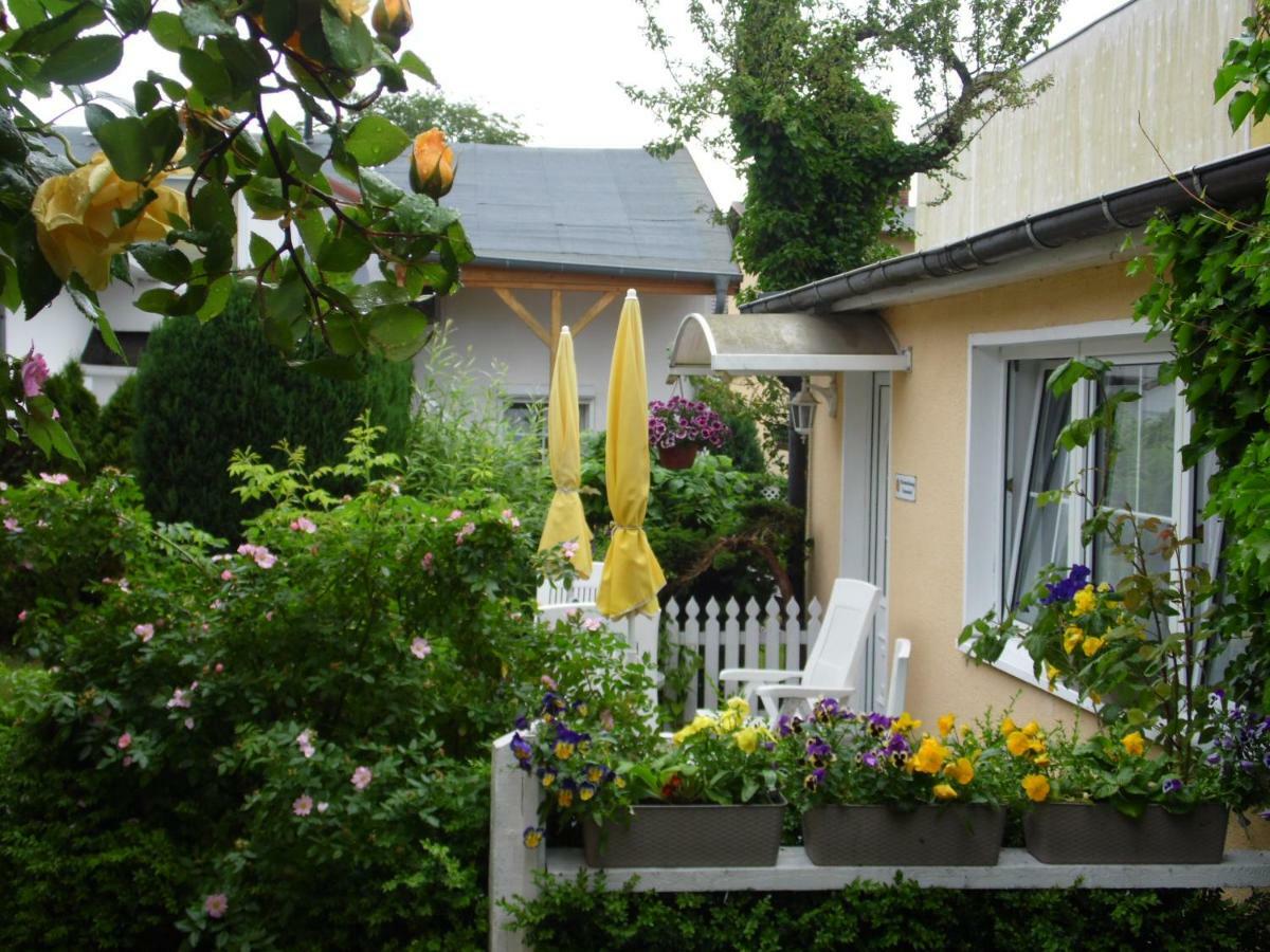 Haus Sandra Ostseebad Heringsdorf Exterior foto