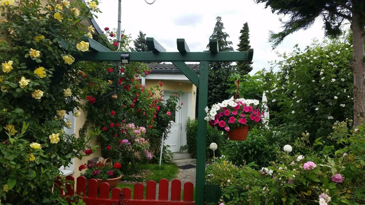 Haus Sandra Ostseebad Heringsdorf Exterior foto