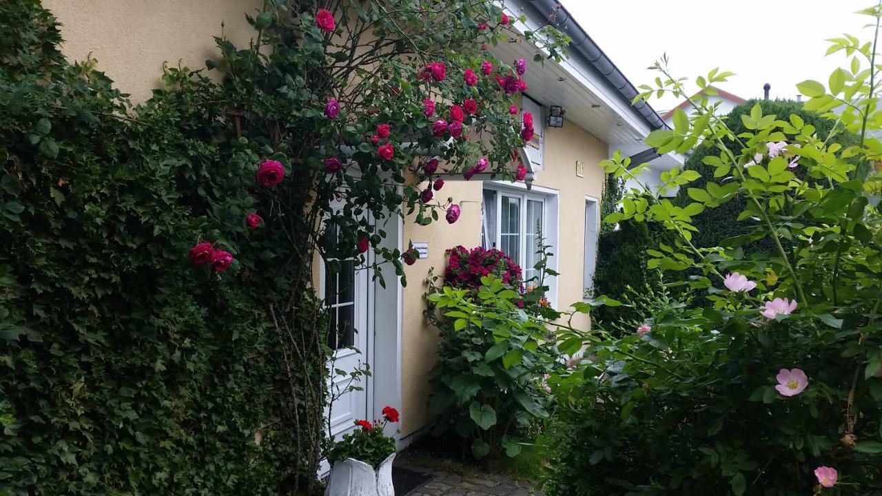 Haus Sandra Ostseebad Heringsdorf Exterior foto
